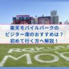 楽天モバイルパークのビジター席のおすすめ